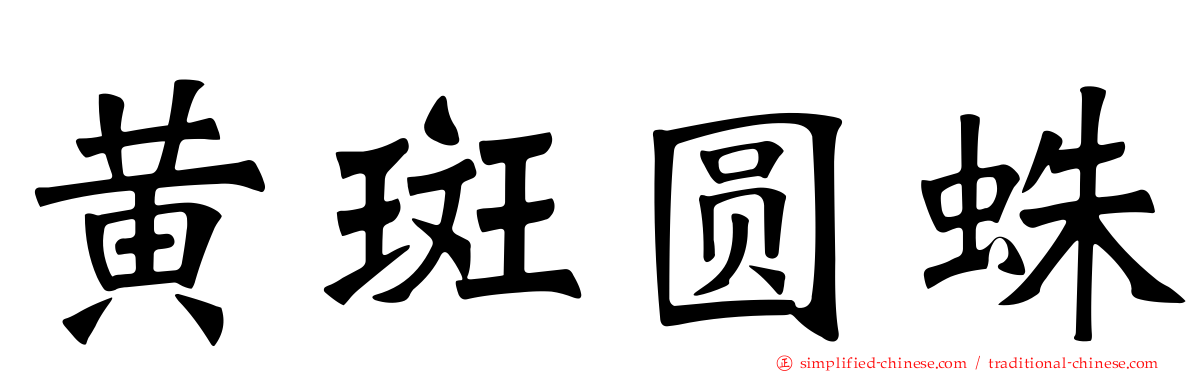 黄斑圆蛛