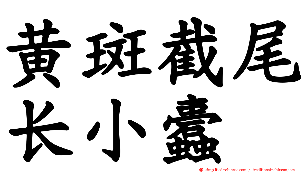 黄斑截尾长小蠹