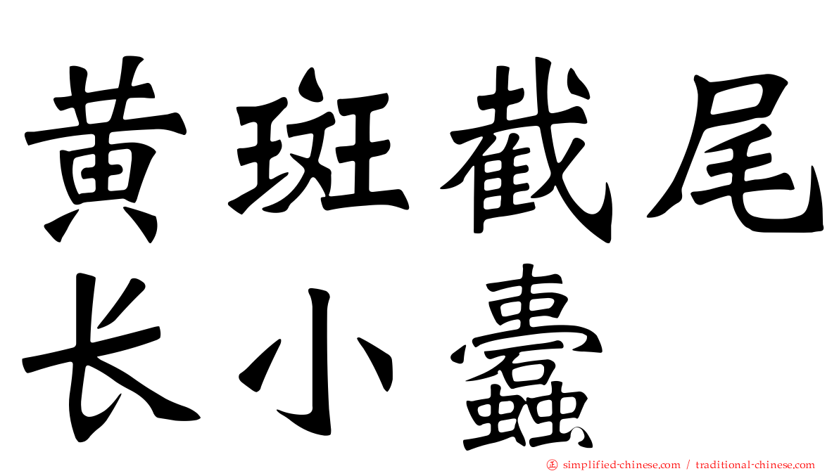 黄斑截尾长小蠹