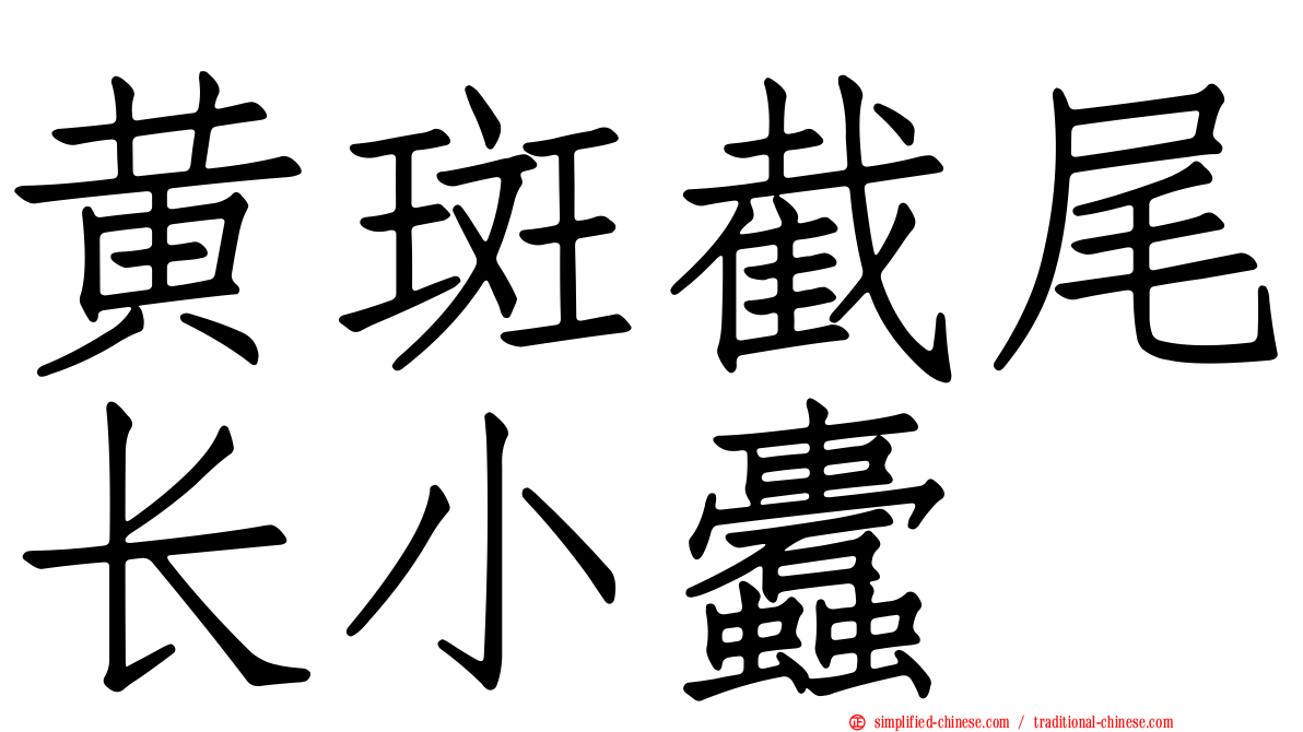 黄斑截尾长小蠹
