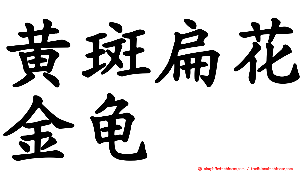 黄斑扁花金龟