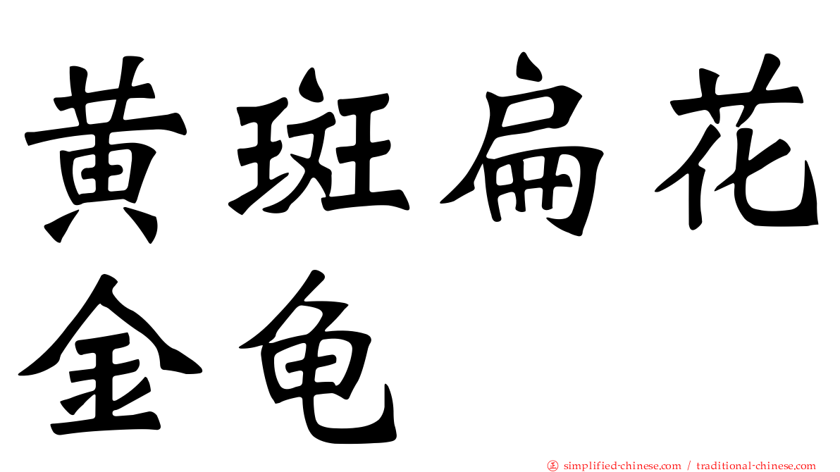 黄斑扁花金龟