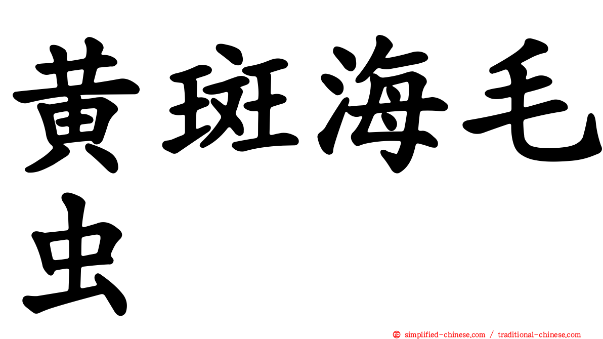 黄斑海毛虫