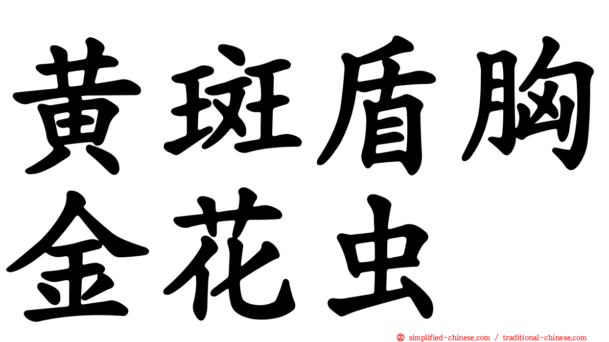 黄斑盾胸金花虫