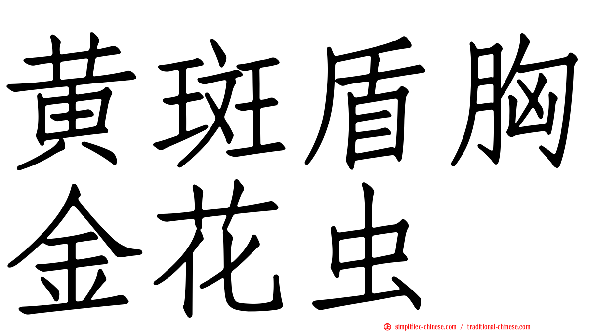 黄斑盾胸金花虫