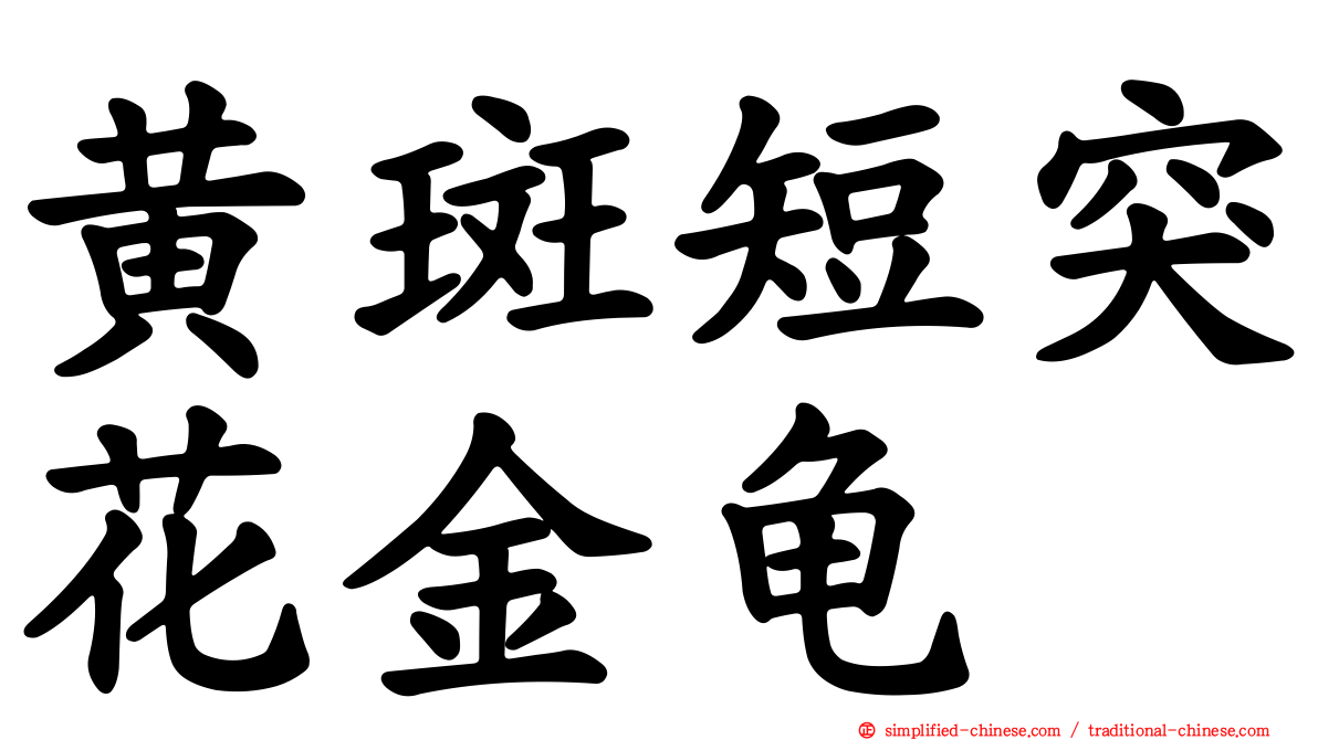 黄斑短突花金龟
