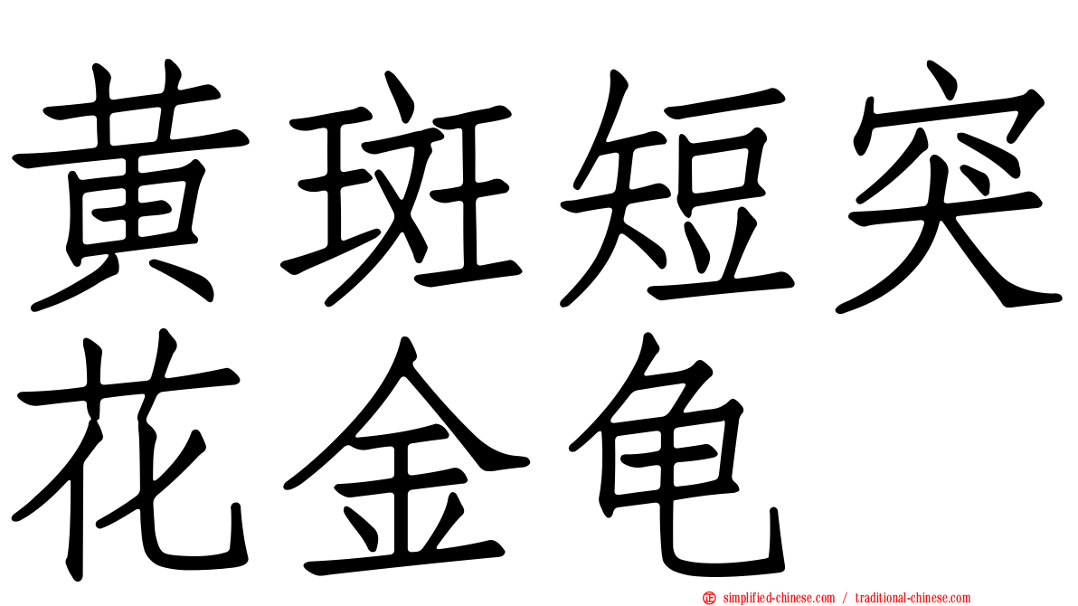 黄斑短突花金龟