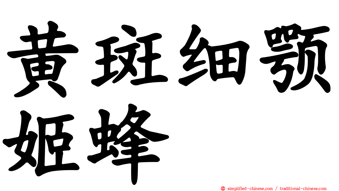 黄斑细颚姬蜂