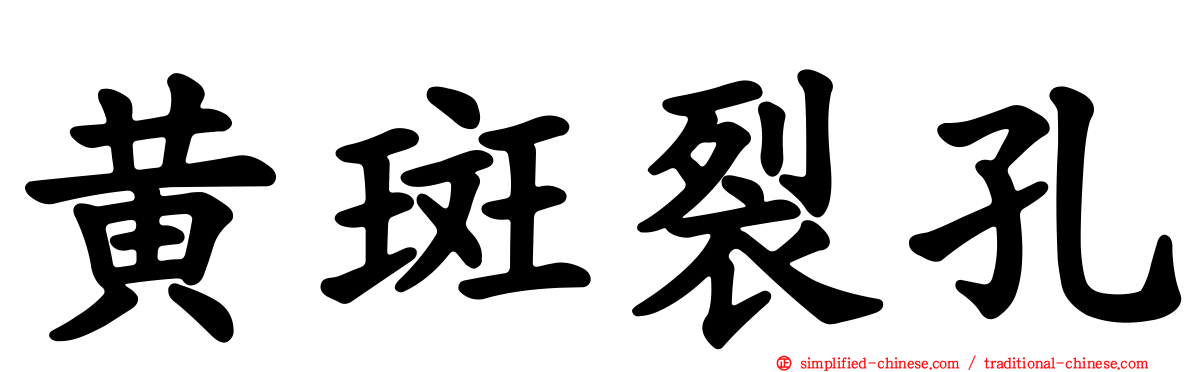 黄斑裂孔