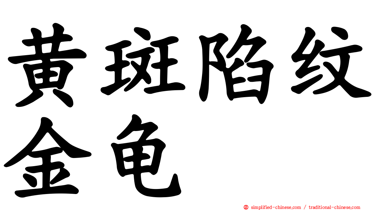 黄斑陷纹金龟