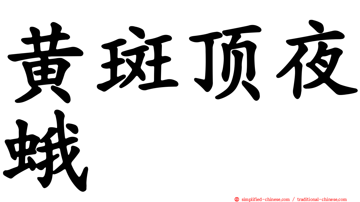 黄斑顶夜蛾