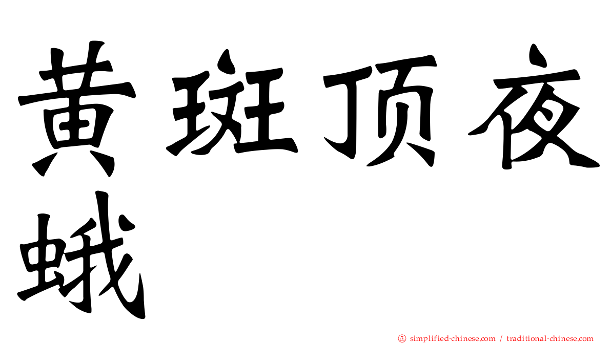 黄斑顶夜蛾