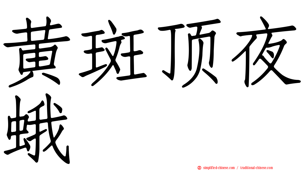 黄斑顶夜蛾