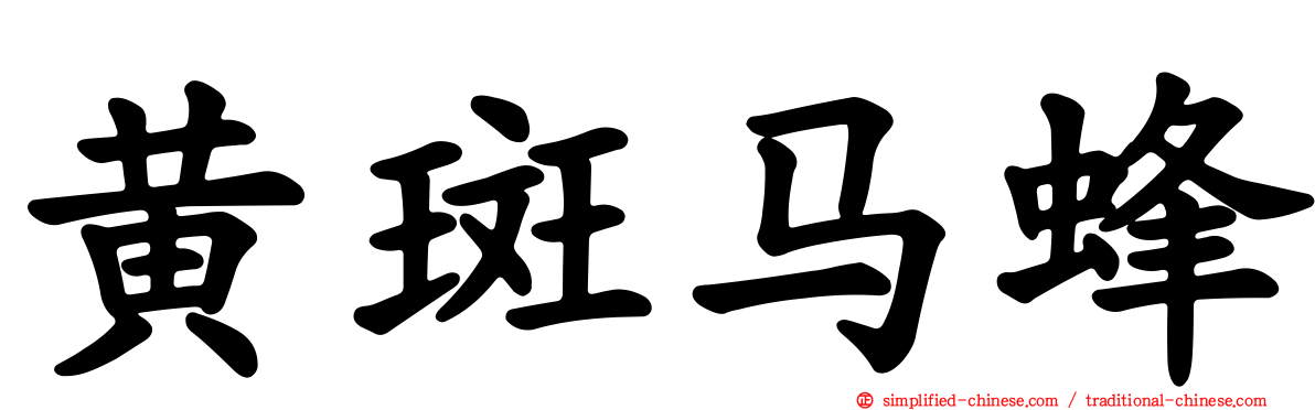 黄斑马蜂
