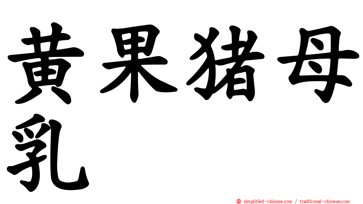 黄果猪母乳