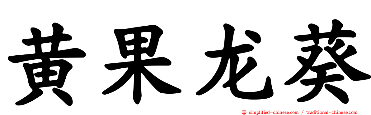 黄果龙葵