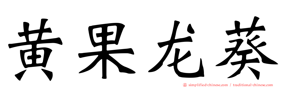 黄果龙葵