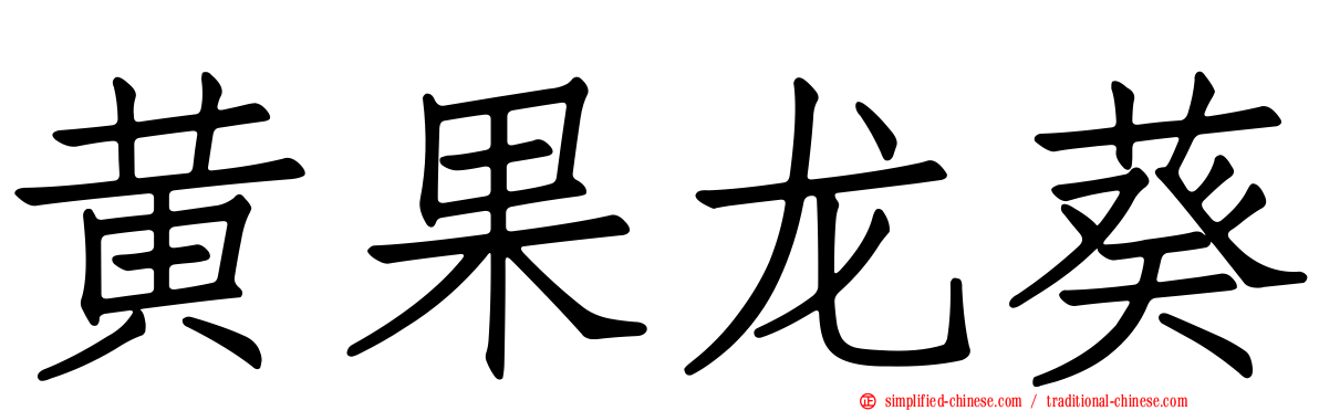 黄果龙葵