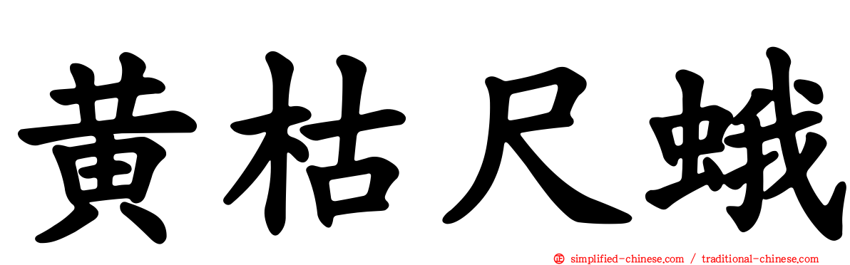 黄枯尺蛾