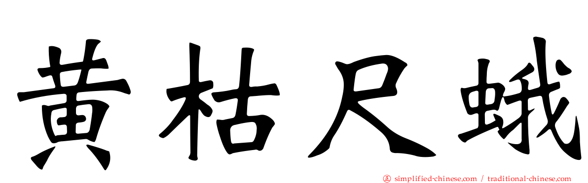 黄枯尺蛾