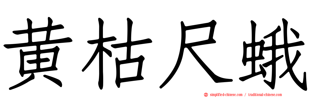 黄枯尺蛾