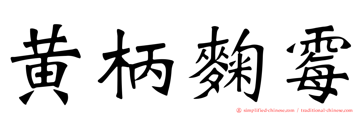 黄柄曲霉