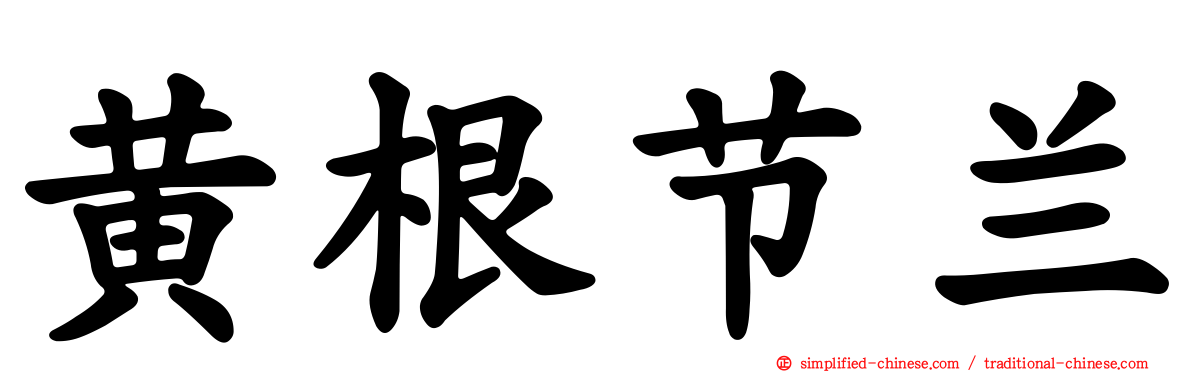 黄根节兰