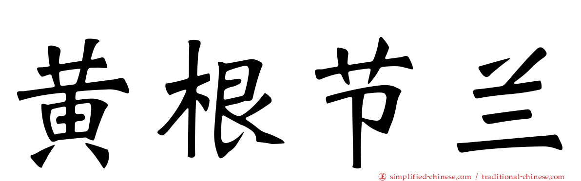 黄根节兰
