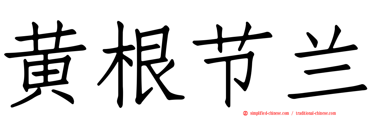 黄根节兰