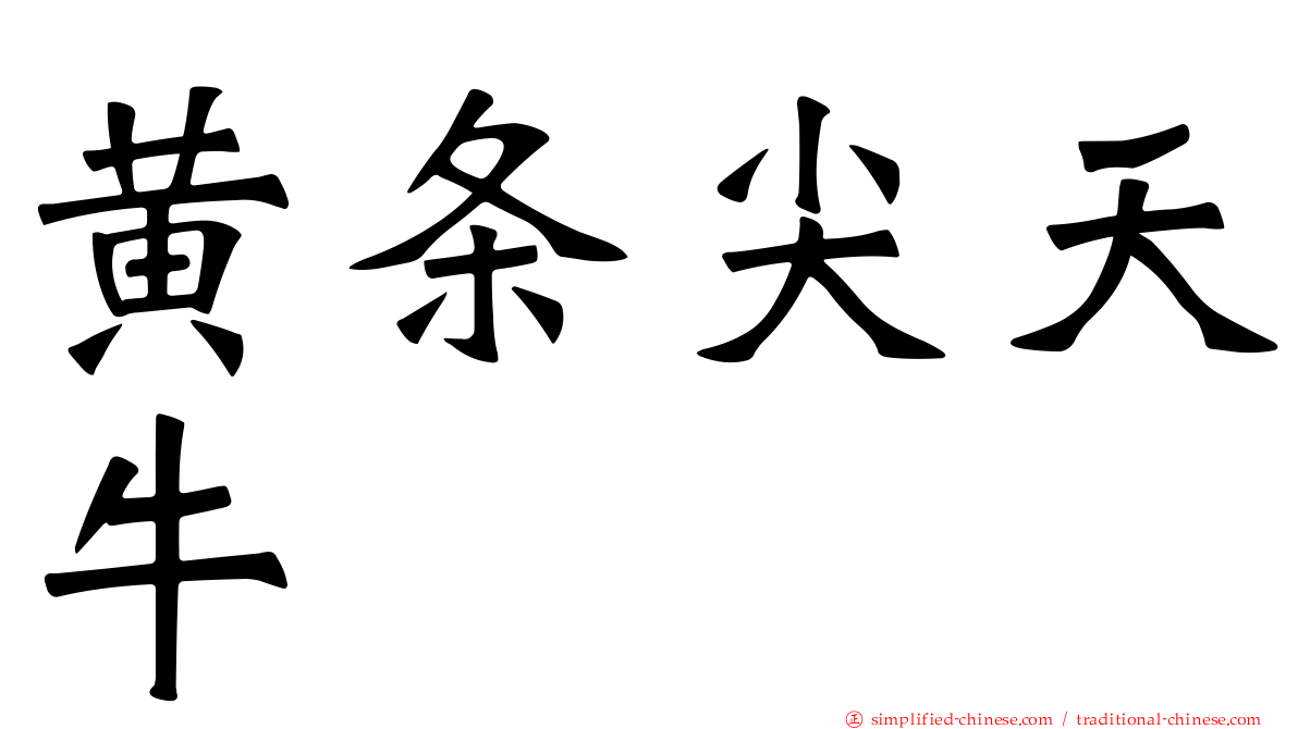 黄条尖天牛