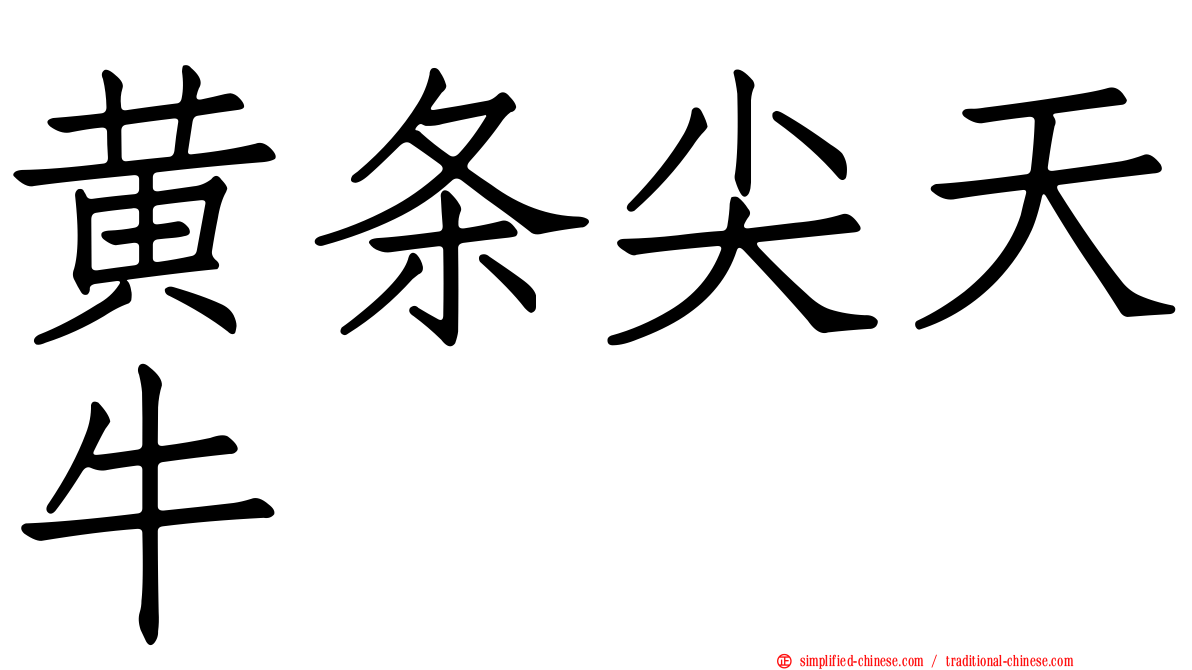 黄条尖天牛