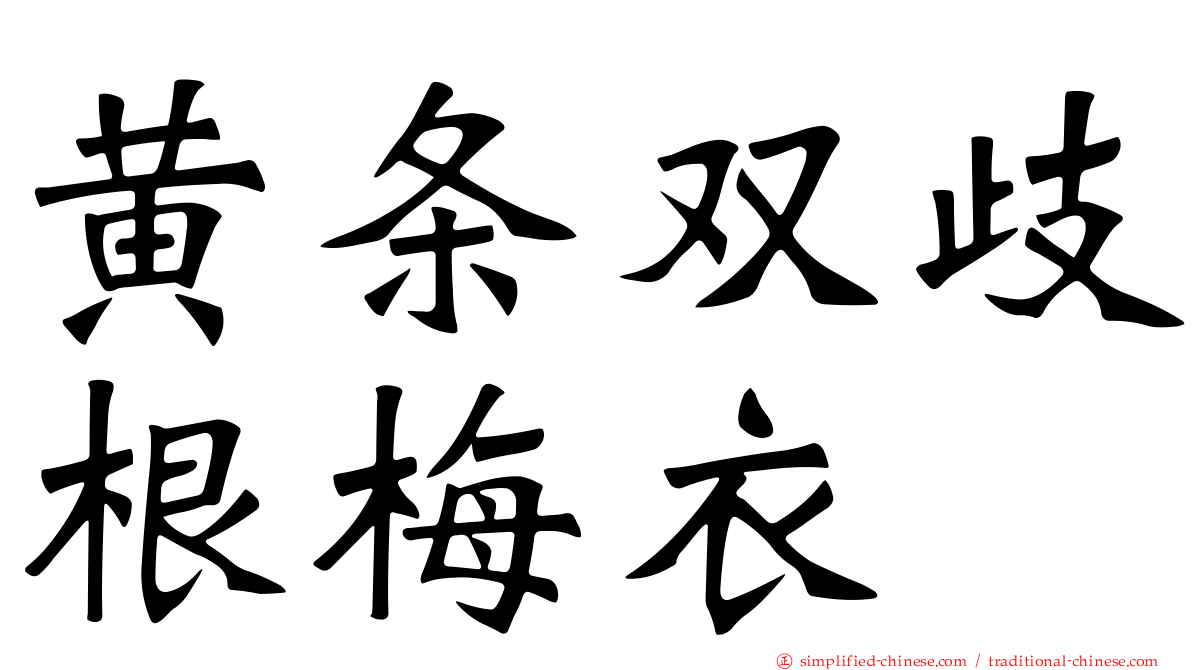 黄条双歧根梅衣