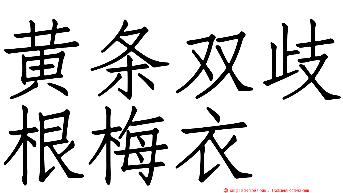 黄条双歧根梅衣