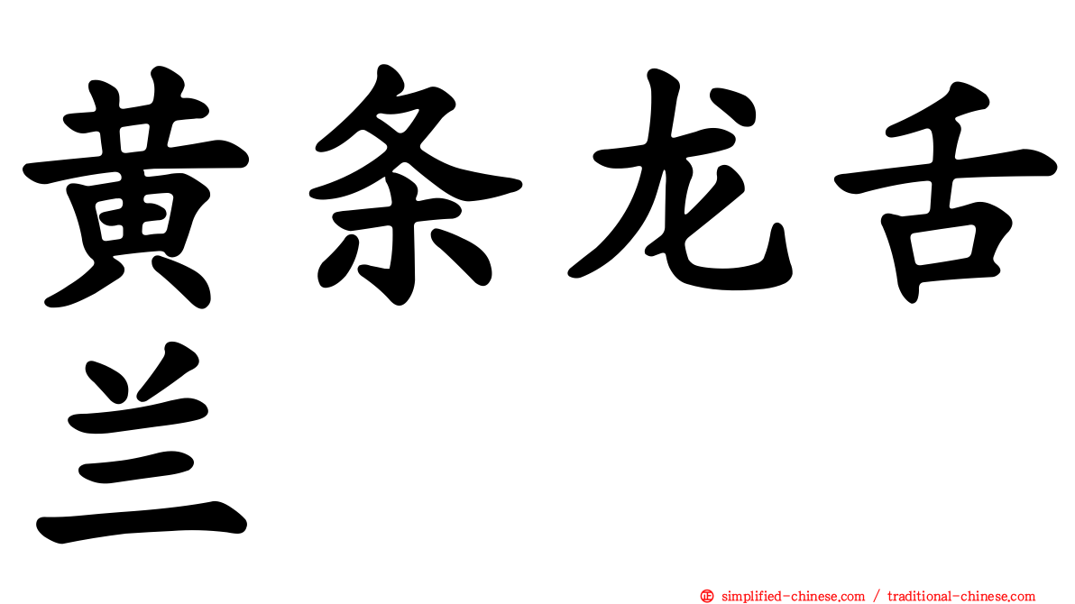 黄条龙舌兰