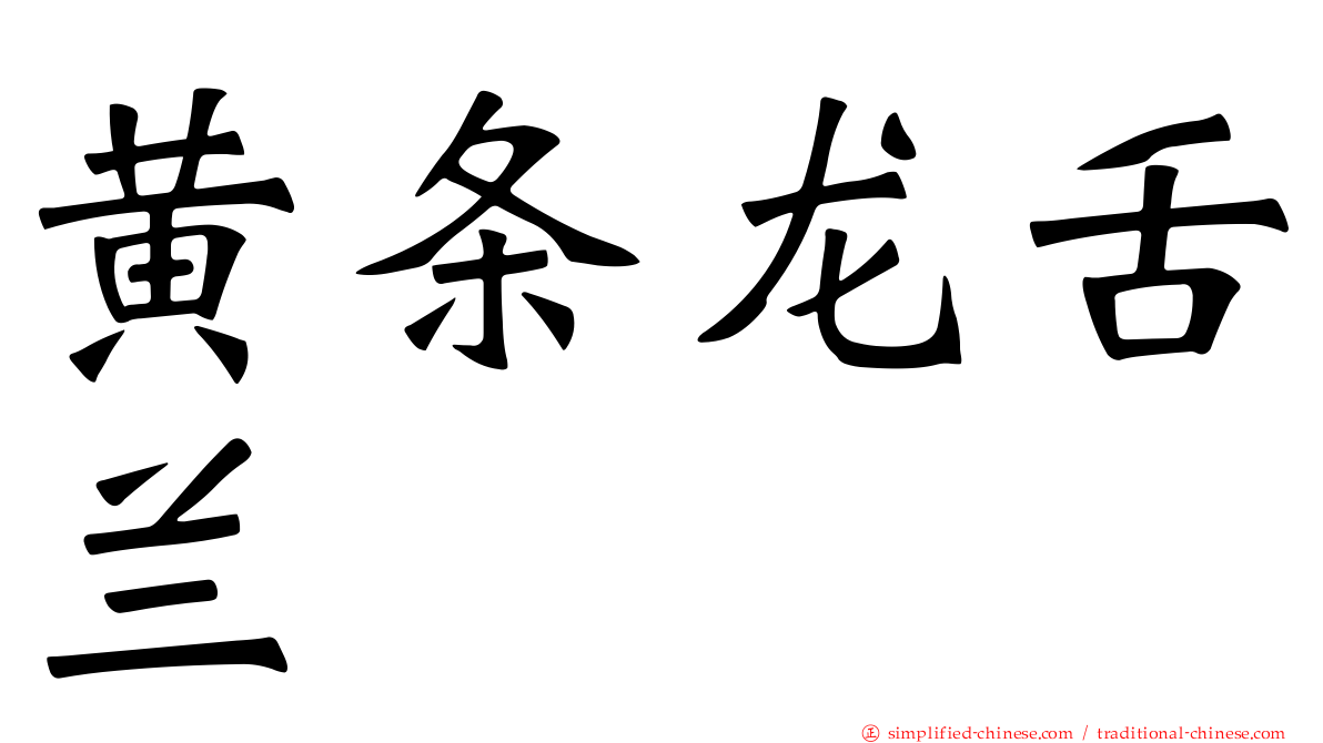 黄条龙舌兰