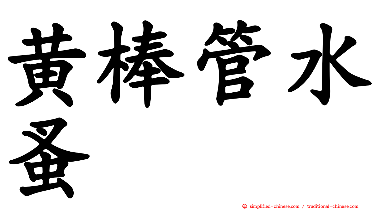 黄棒管水蚤