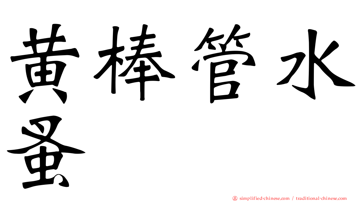黄棒管水蚤