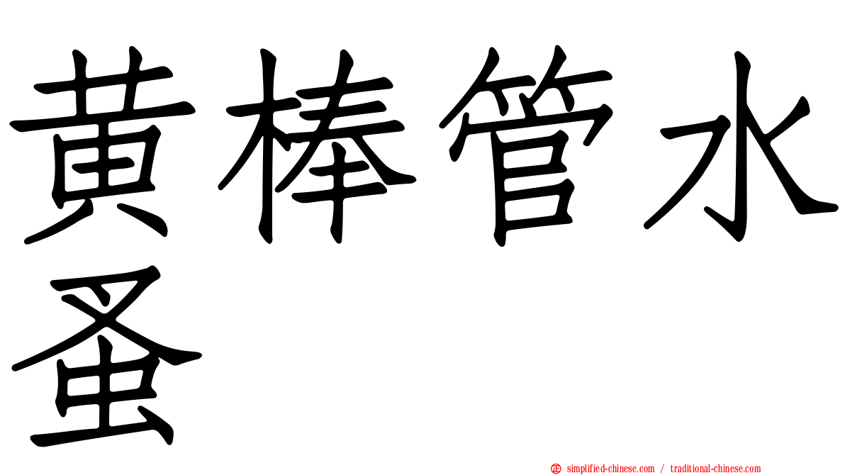 黄棒管水蚤