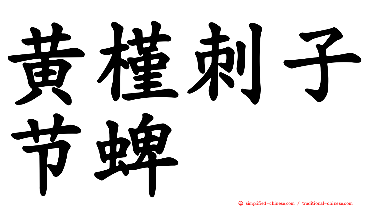 黄槿刺子节蜱