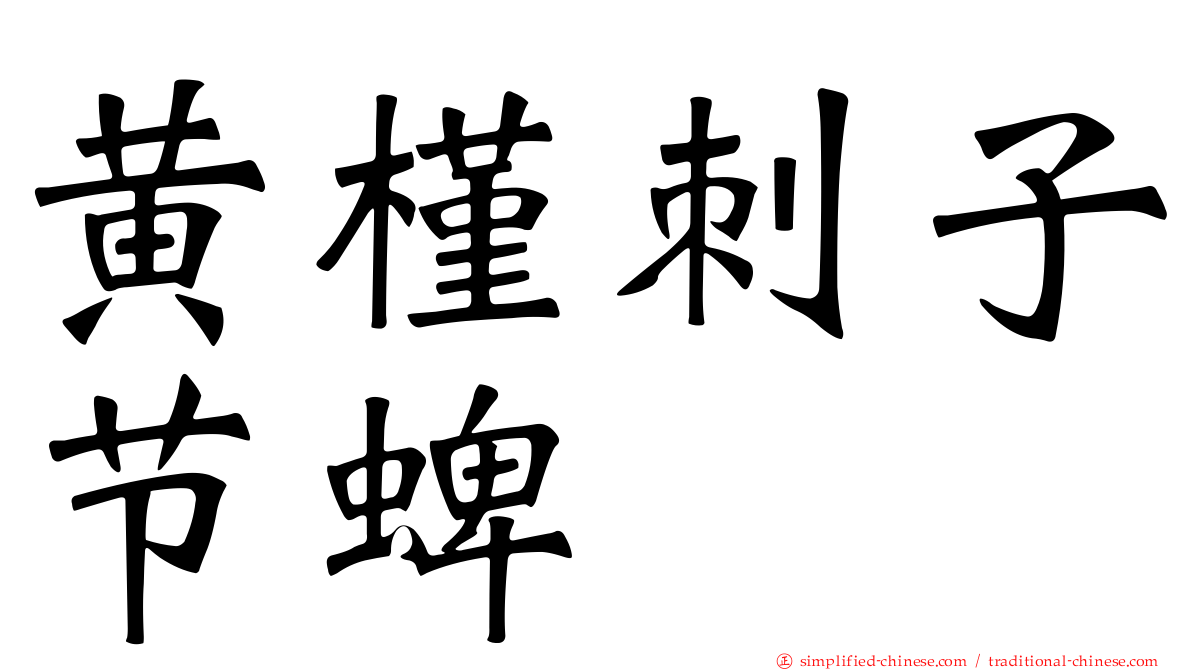 黄槿刺子节蜱
