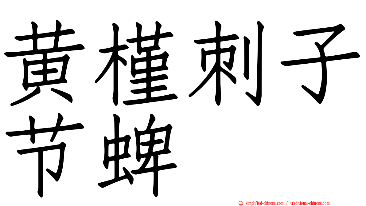 黄槿刺子节蜱
