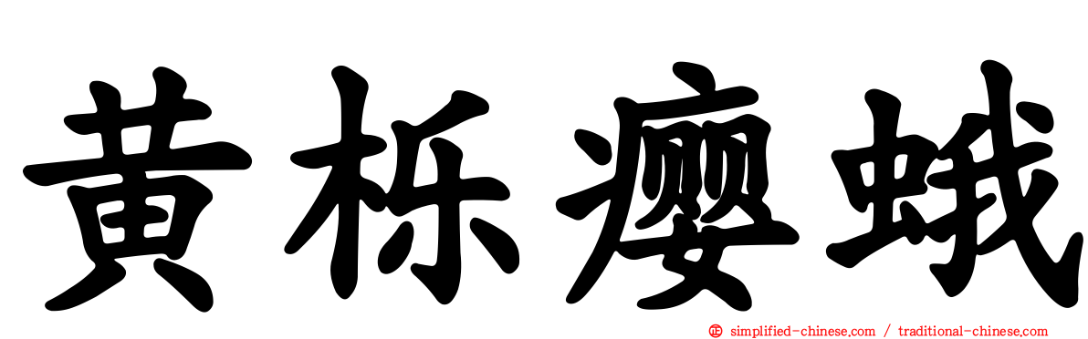 黄栎瘿蛾