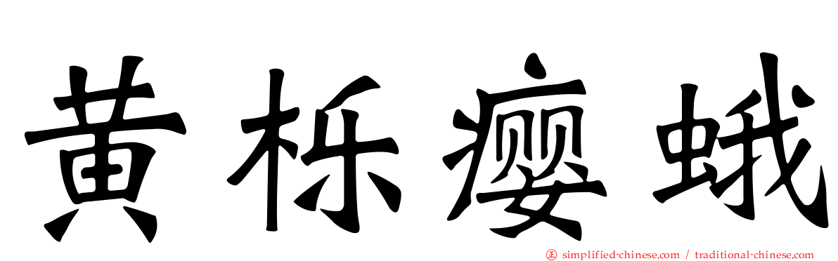 黄栎瘿蛾