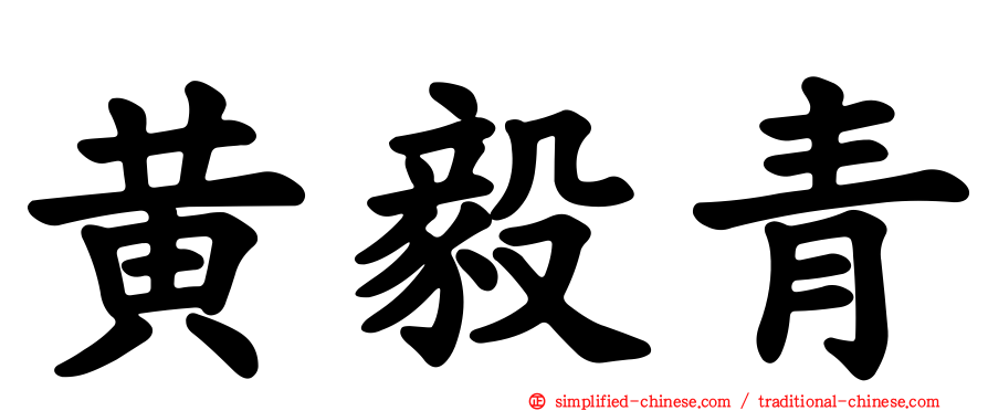 黄毅青