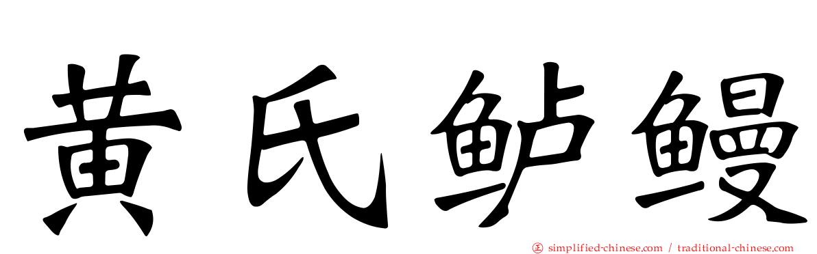 黄氏鲈鳗