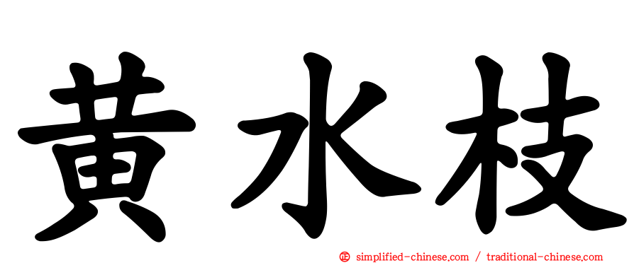黄水枝