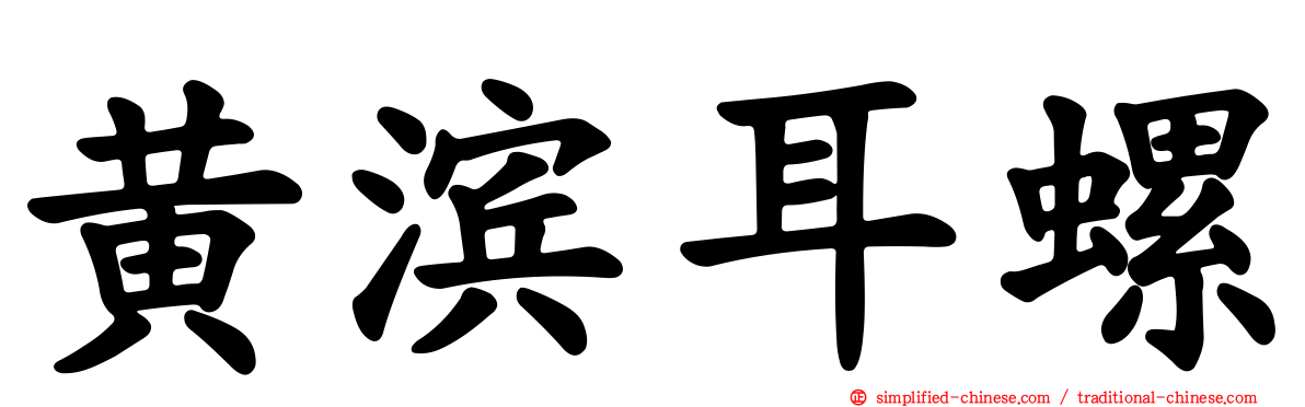 黄滨耳螺