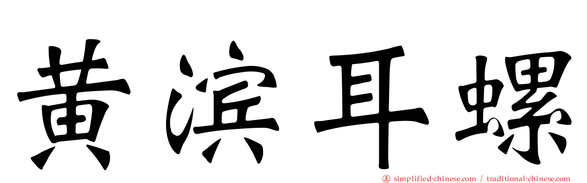 黄滨耳螺