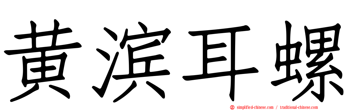 黄滨耳螺