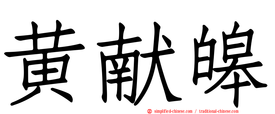 黄献皞